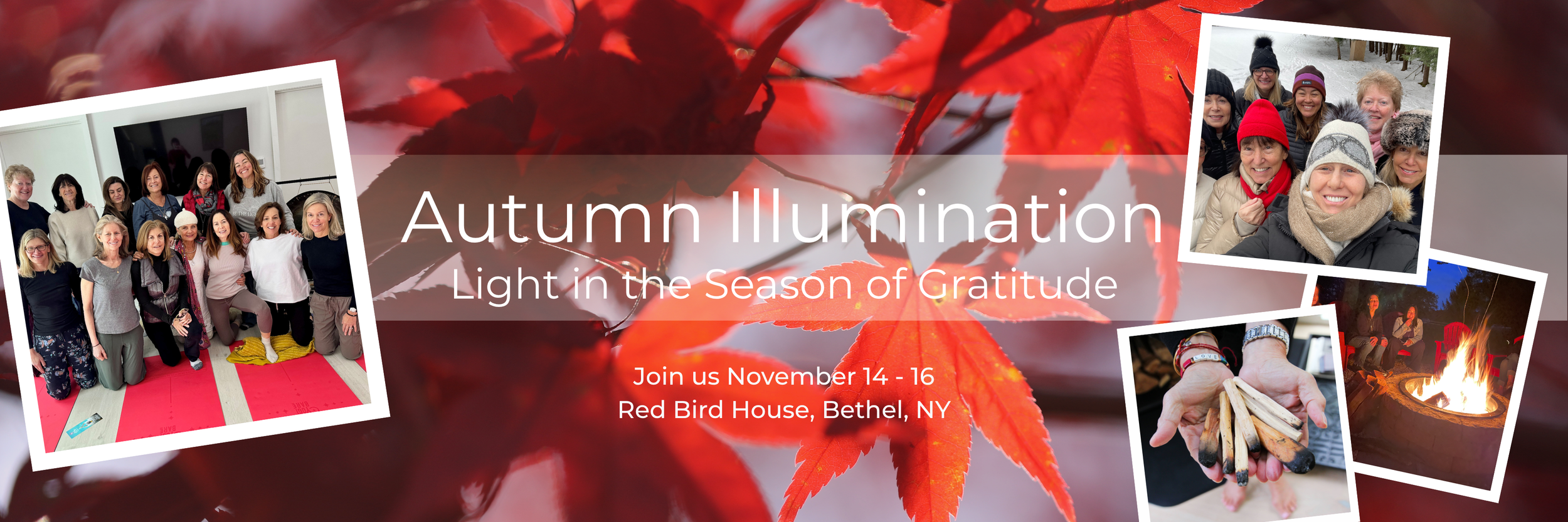 Autumn Illumination Light in the Season of Gratitude - Page Header.png