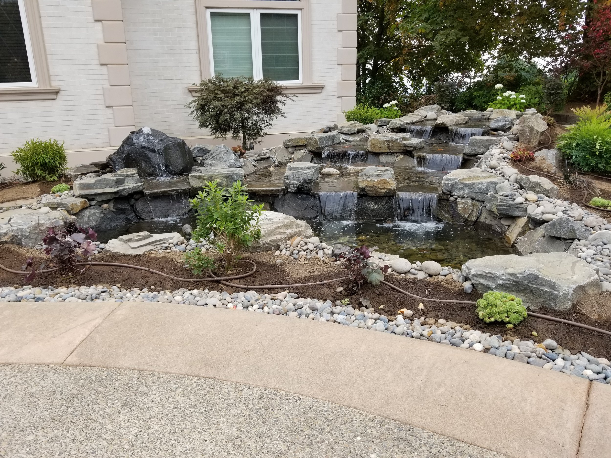 Water feature including waterfalls, a pond, rocks and small trees.