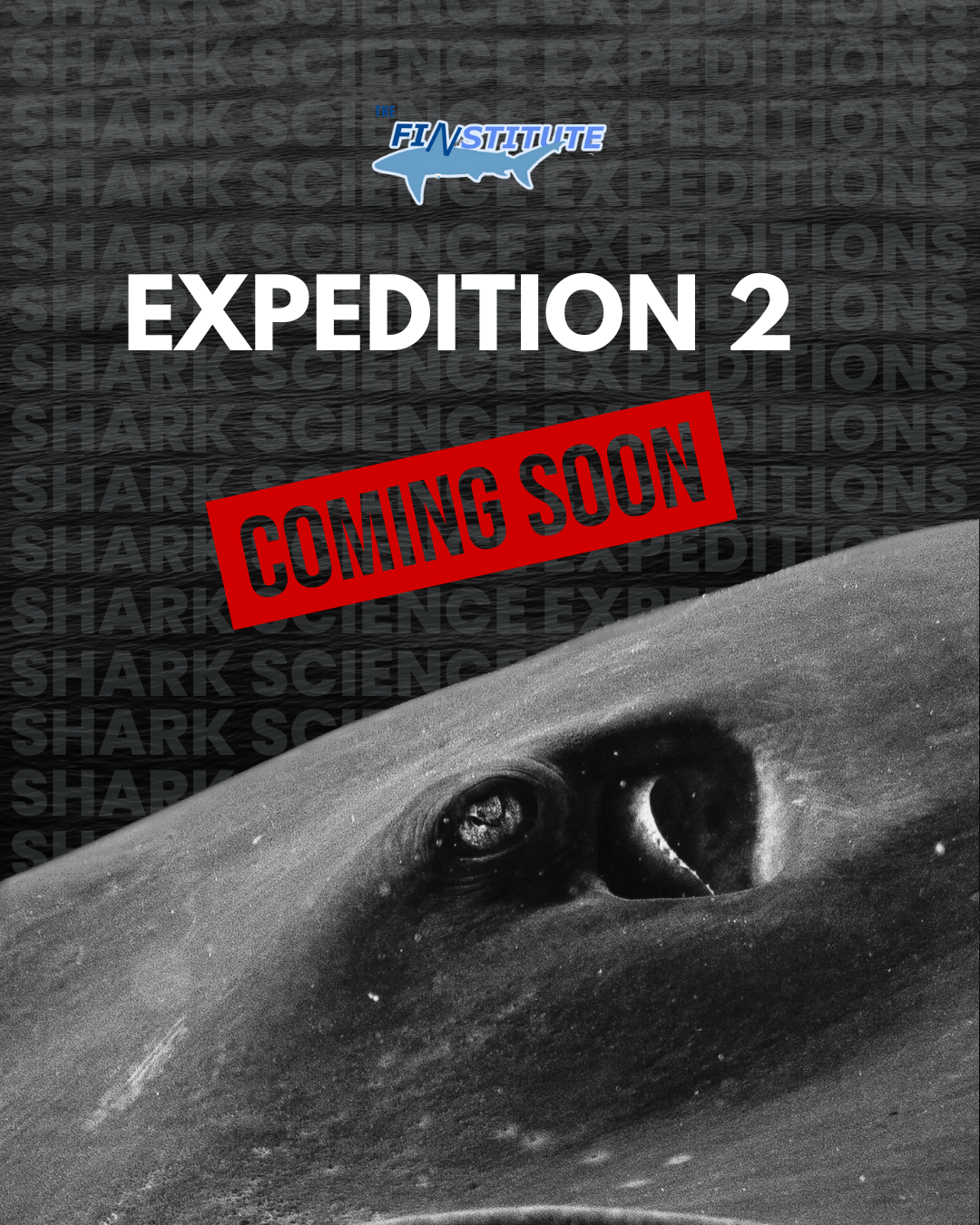 EXPEDITION 2 | 2026