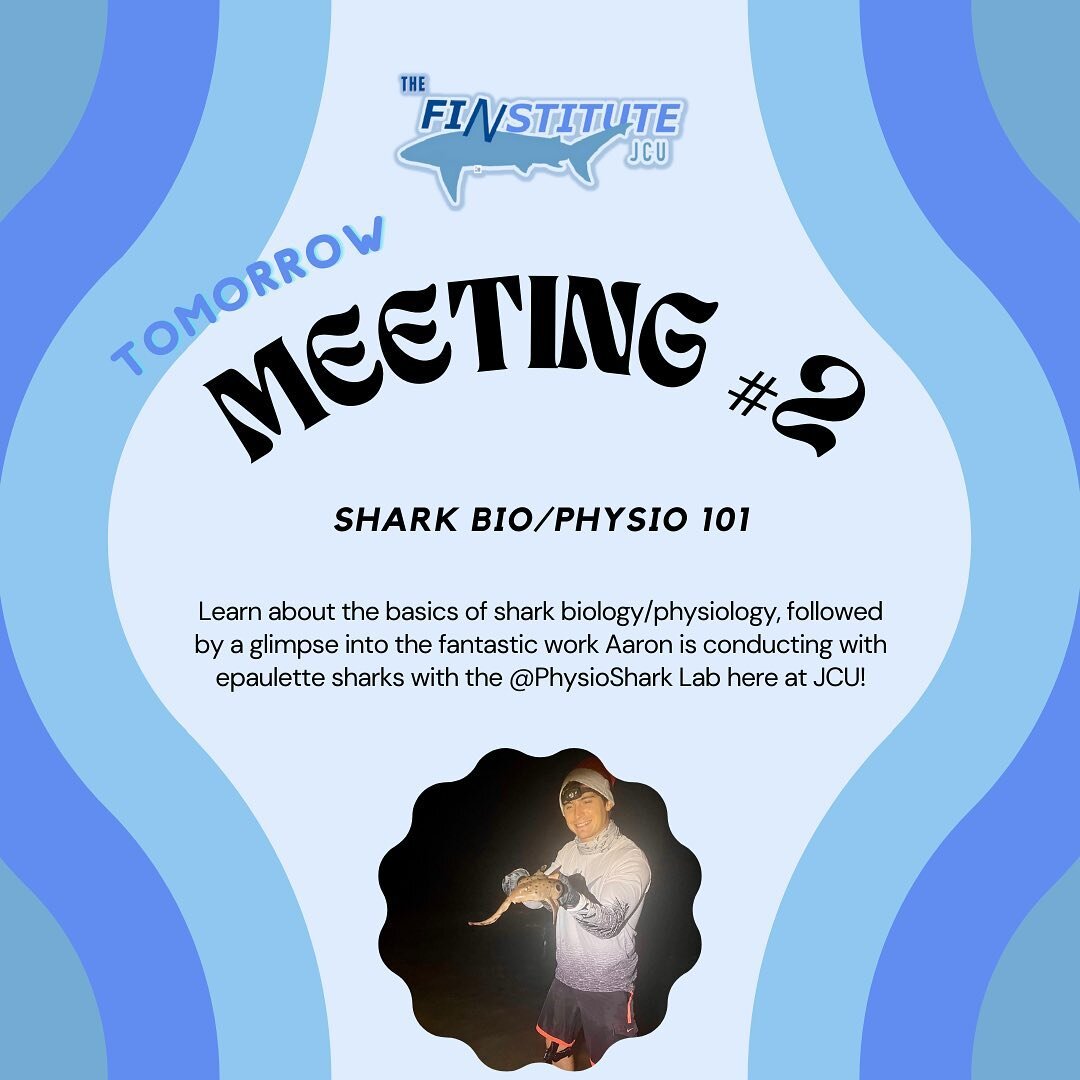 SEE YOU TOMORROW!
.
We are so stoked to have PhD candidate, Aaron Hasenei come give us a brief overview of the mechanisms that drive sharks and also get a glimpse into the amazing work he&rsquo;s been doing at the @rummerlab @physioshark !
.
Check yo