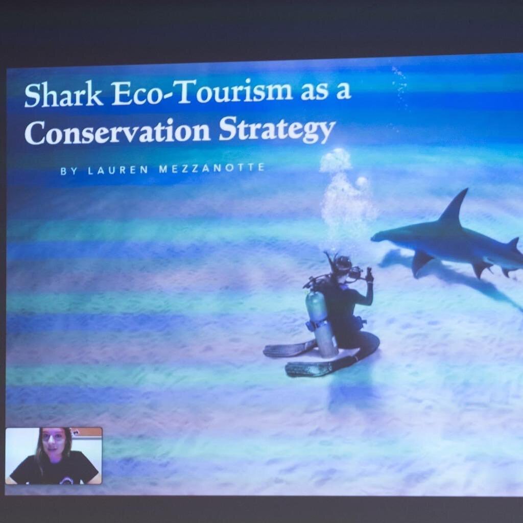 Our fourth FINstitute meeting ! What a huge success.
.
A massive thank you to Lauren Mezzanotte for her passionate talk about the role of ecotourism in shark conservation. We learned about some of the different ways in which responsible ecotourism be