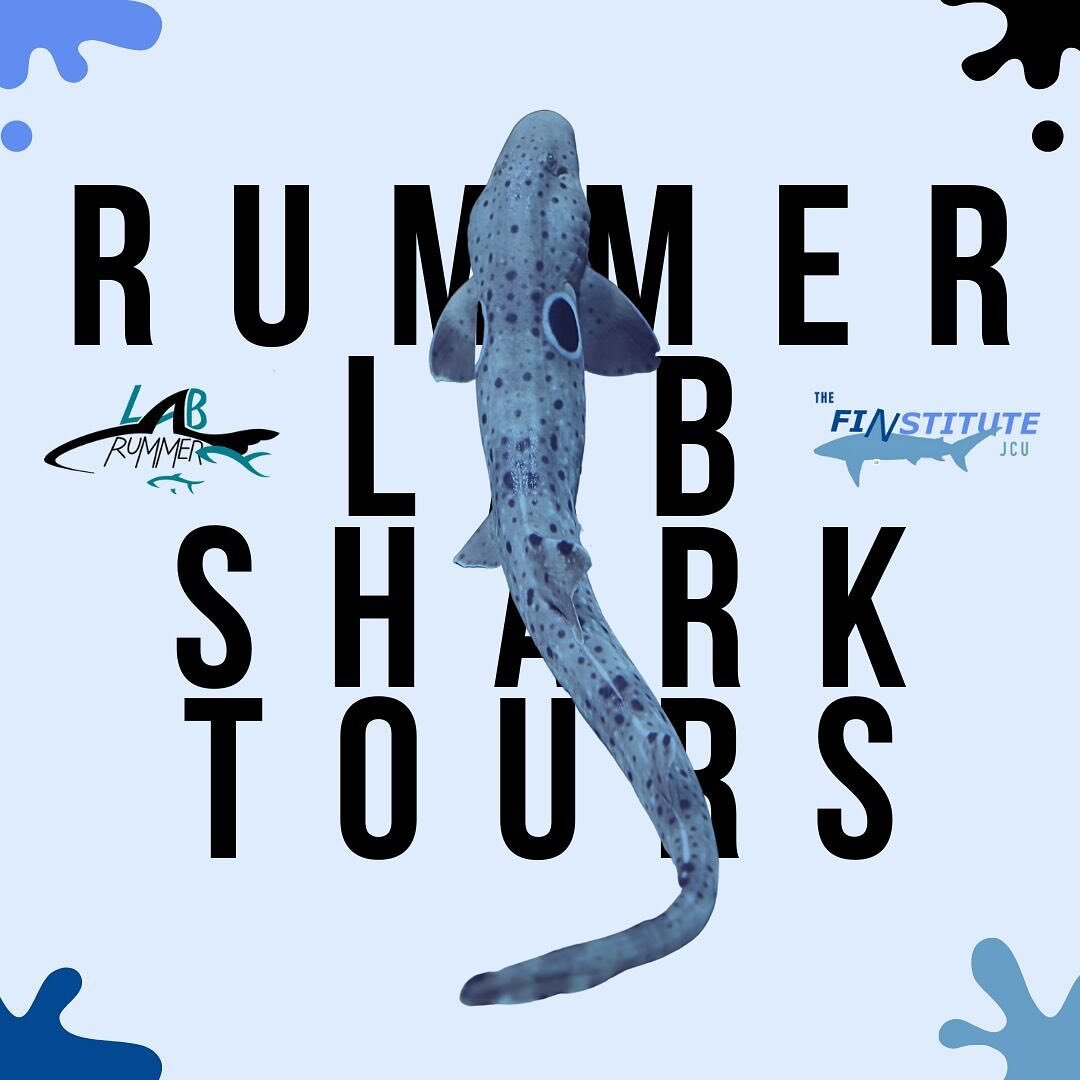 In collaboration with Professor Jodie Rummer and Ph.D candidate &amp; FINstitute Graduate Research Consultant Aaron Hasenei, The FINstitute will be offering weekly tours of the Rummer shark lab here on campus!🥳

As one of our main missions as a club