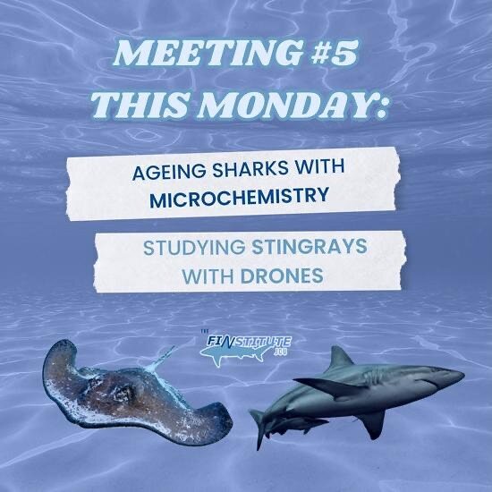 Meeting #5 🦈🦈🦈

Come learn how to use microchemistry, elemental ratios, and drone tracking to study sharks!

Dr. Brandon Mahan and his Honors student, Hilary, will lead us in a hands-on WORKSHOP where we will get to try to age sharks using microim