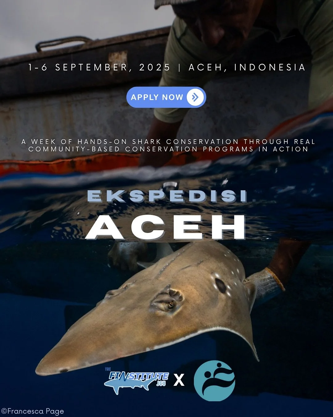 &ldquo;Anotha one&hellip;&rdquo; - DJ Khalid

Applications are NOW OPEN for Ekspedisi Aceh:

September 2025! Join us in Indonesia for 6 days of real-world shark conservation, hands-on research, and community-driven change with @kebersamaan_untuk_laut