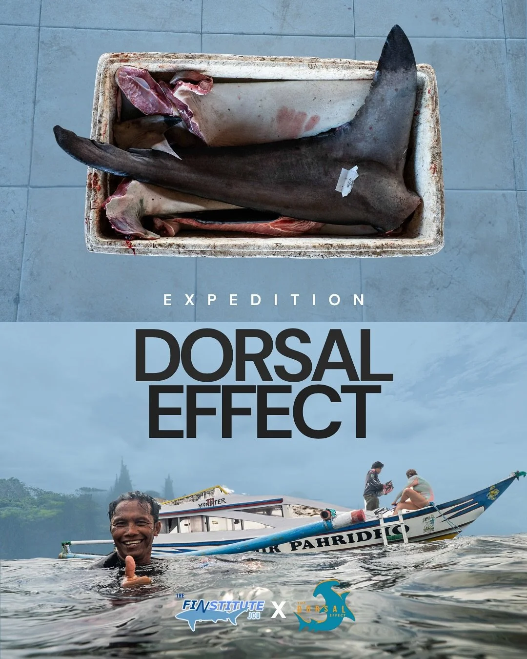 This was Expedition Dorsal Effect! 🦈 This lovely summary prepared by @kieshalara of our latest week-long trip to Indonesia offers a bit of a glimpse into what the team of students got to experience. 🇮🇩

🩵 We would like to extend a massive thank y