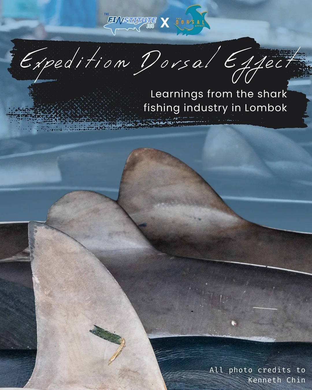A huge thank you to @thedorsaleffect for giving us students on our latest trip to Indonesia the chance to step so close to the shark industry and guiding us through all its complexities. 

Shining a light on this industry is so important, it will sha