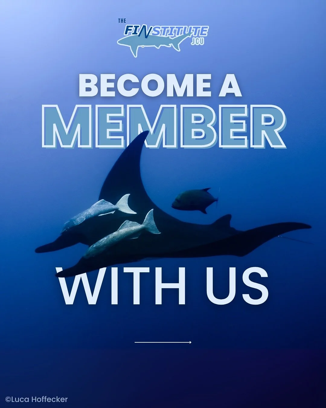 We have some new faces around here so we wanted to give everyone a quick overview of our new membership options! You can now also be a member with us even if you aren&rsquo;t a JCU student 🥳🧑&zwj;🎓

We have three options for all of you. These year