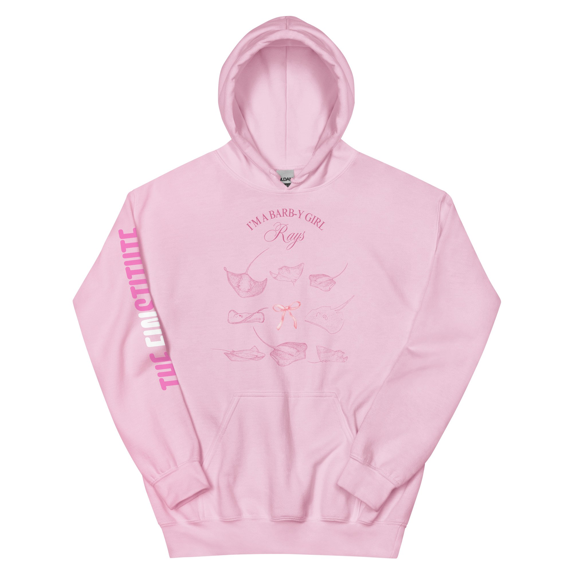 unisex-heavy-blend-hoodie-light-pink-front-687395a3e4adc.jpg