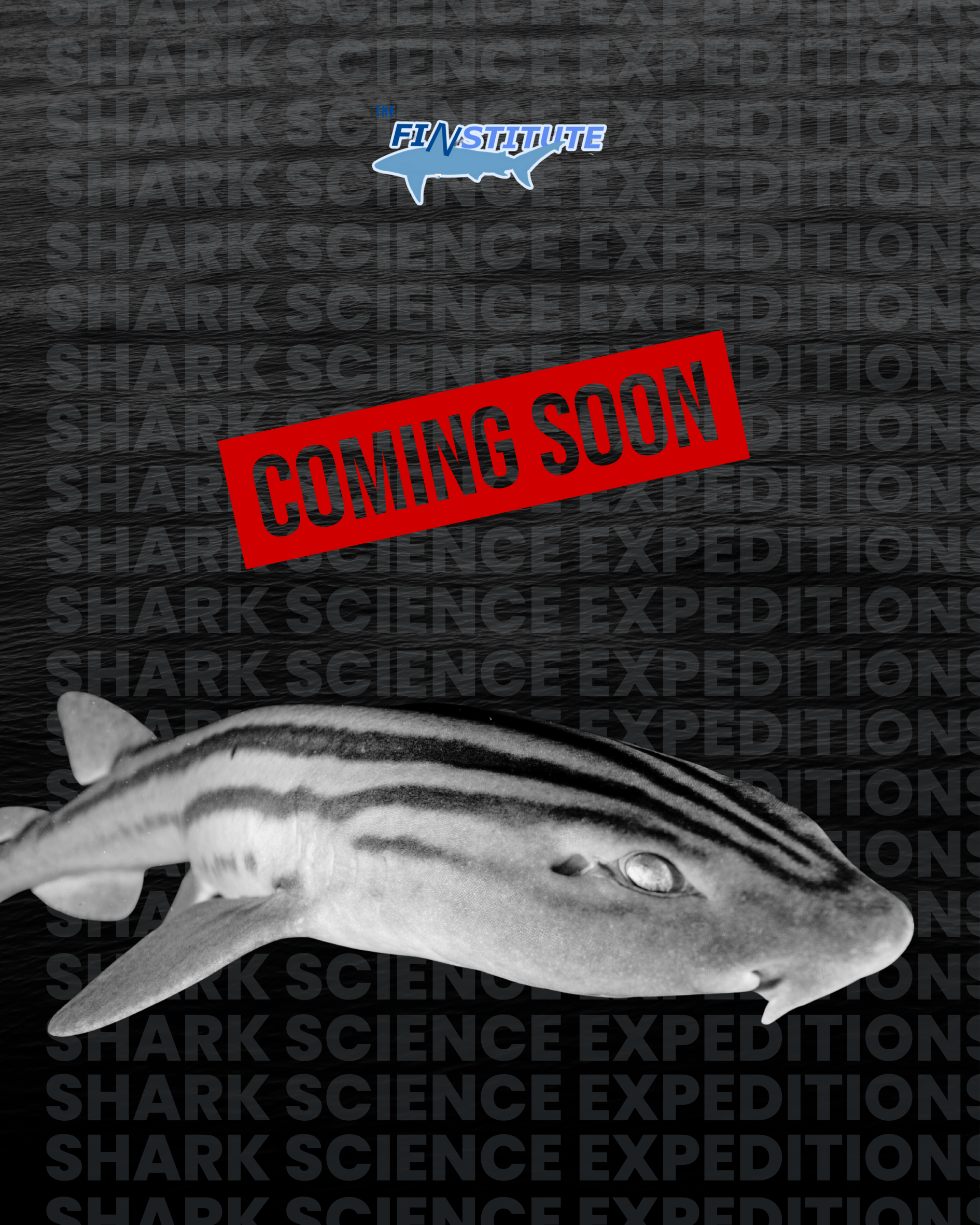 EXPEDITION 2: SOUTH AFRICA