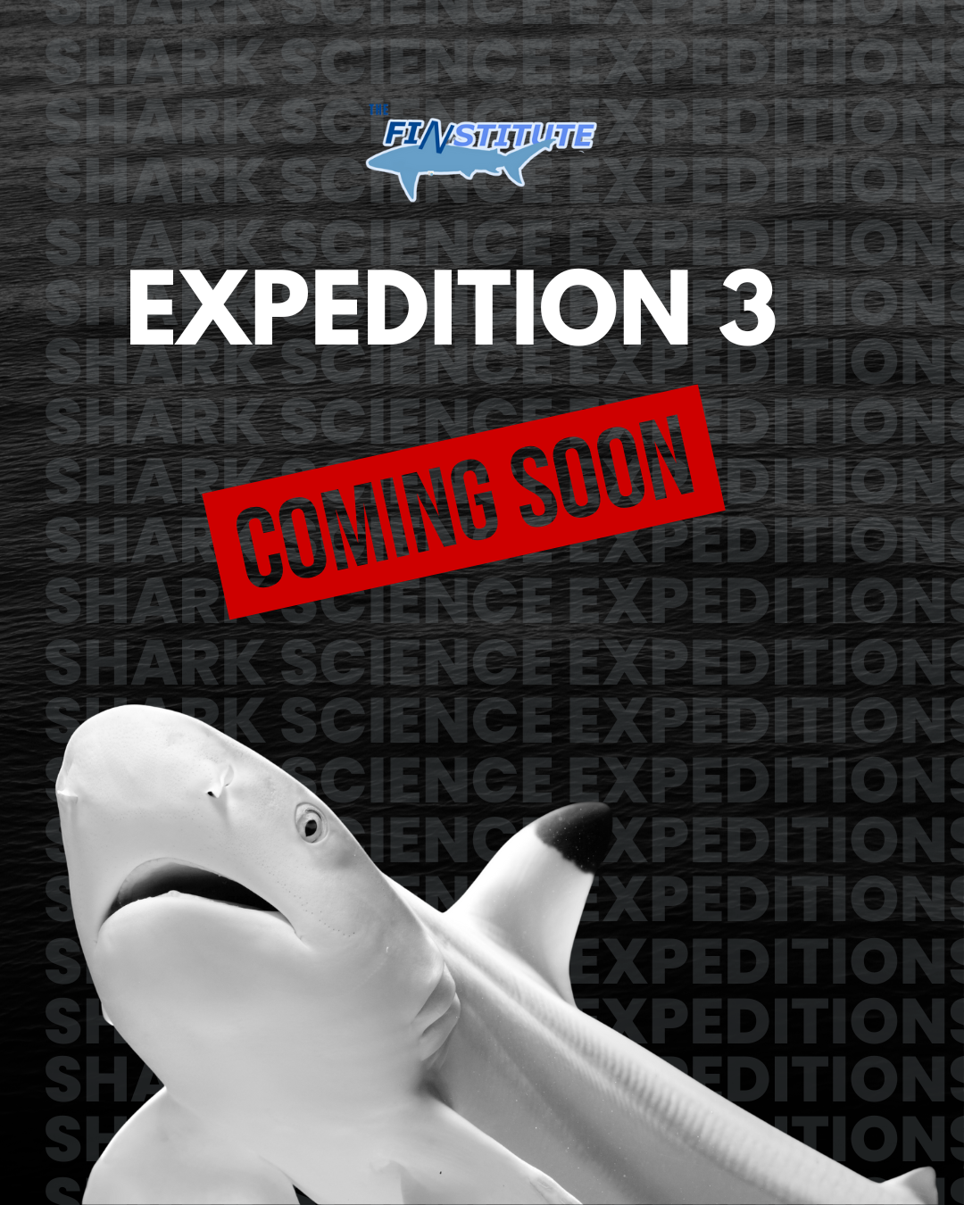 EXPEDITION 3 | 2026