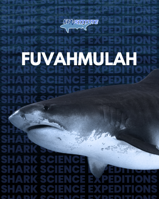 EXPEDITION 1 | MALDIVES