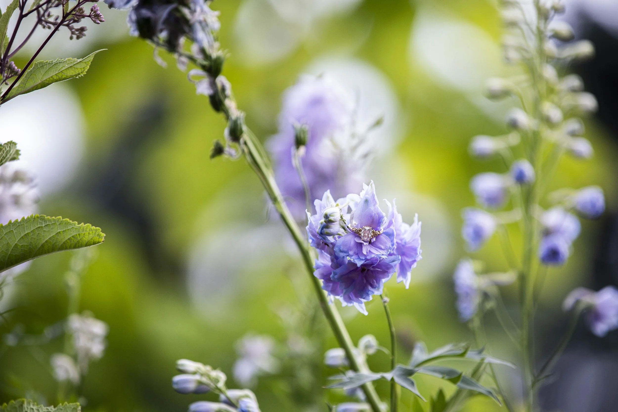 amy&patt-engagement-sneak-14.jpg