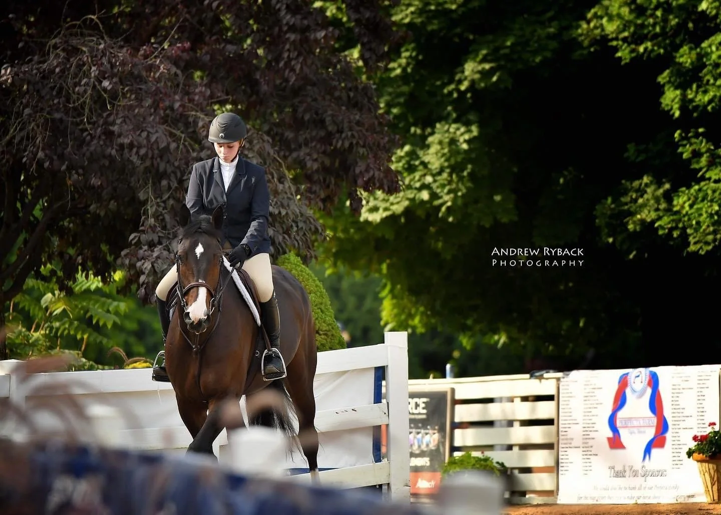 Ledges Sporting Horses | Roscoe, IL  | c. Andrew Ryback Photography 2023