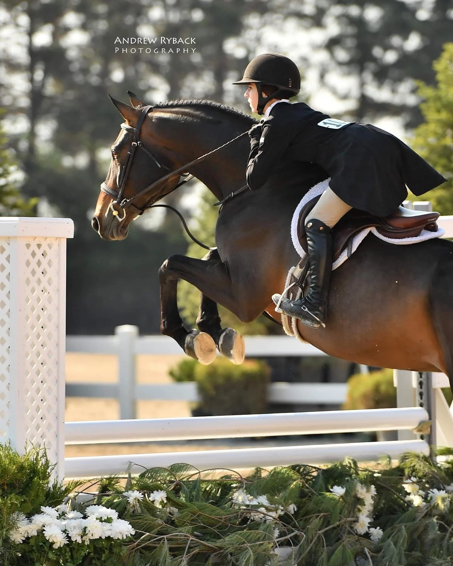 Ledges Sporting Horses | Roscoe, IL | c. Andrew Ryback Photography 2021
