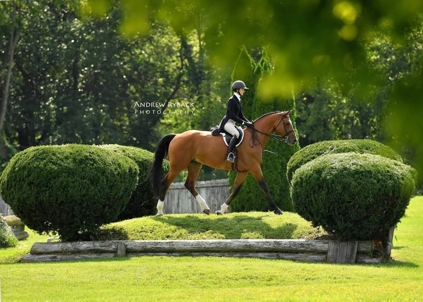 Dunham Woods Riding Club | Wayne, IL | c. Andrew Ryback Photography 2022