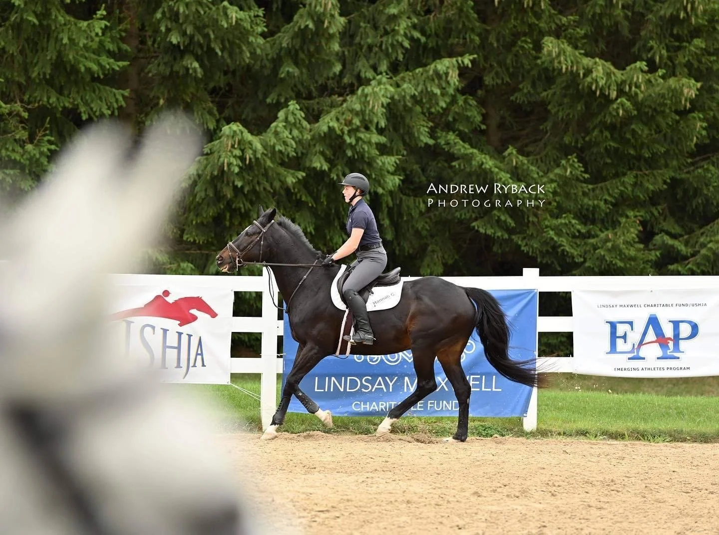 Ledges Sporting Horses | Roscoe, IL | c. Andrew Ryback Photography 2021