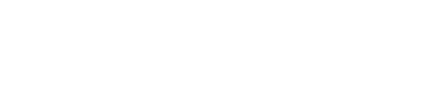 William David Homes