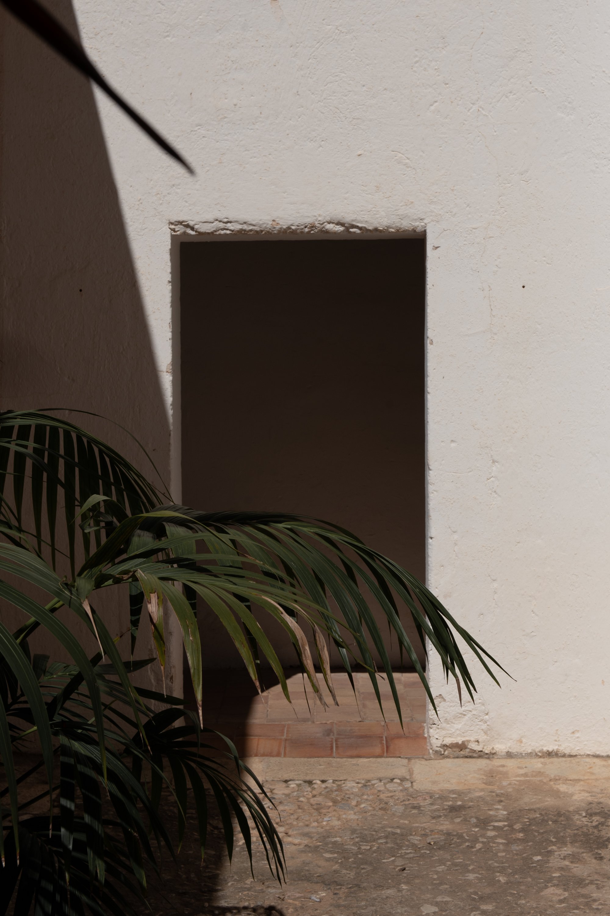 A white textured wall with a rectangular opening in the center, partially shadowed on the left side. There are green plant leaves in the foreground on the left side, and a brown tiled surface at the bottom of the opening.