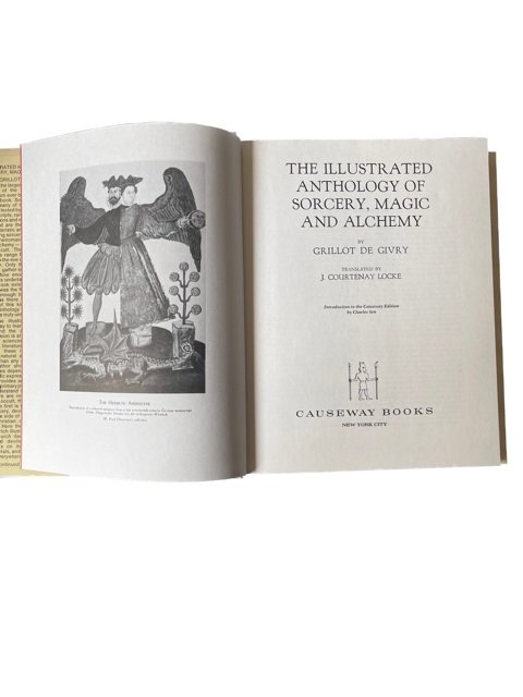 inside book showing medieval illustrations of hermetic androgyne