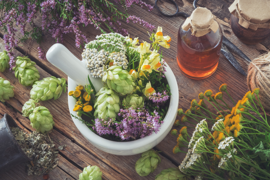 Wildpflanzen im Sommer - Heilsame Extrakte und Tinkturen selbst herstellen [Workshop] 
