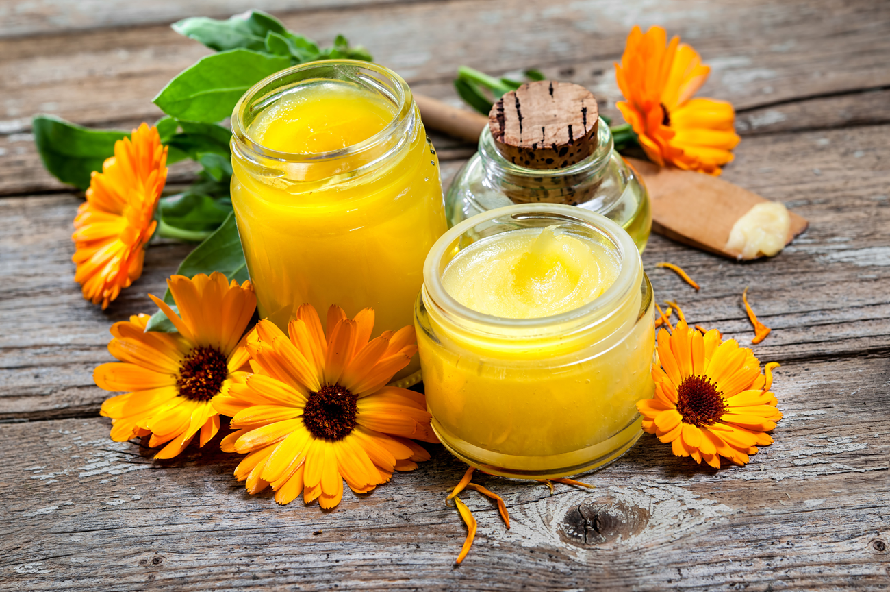 Extrakte, Cremes und Salben aus Heilpflanzen selbst herstellen [Workshop]
