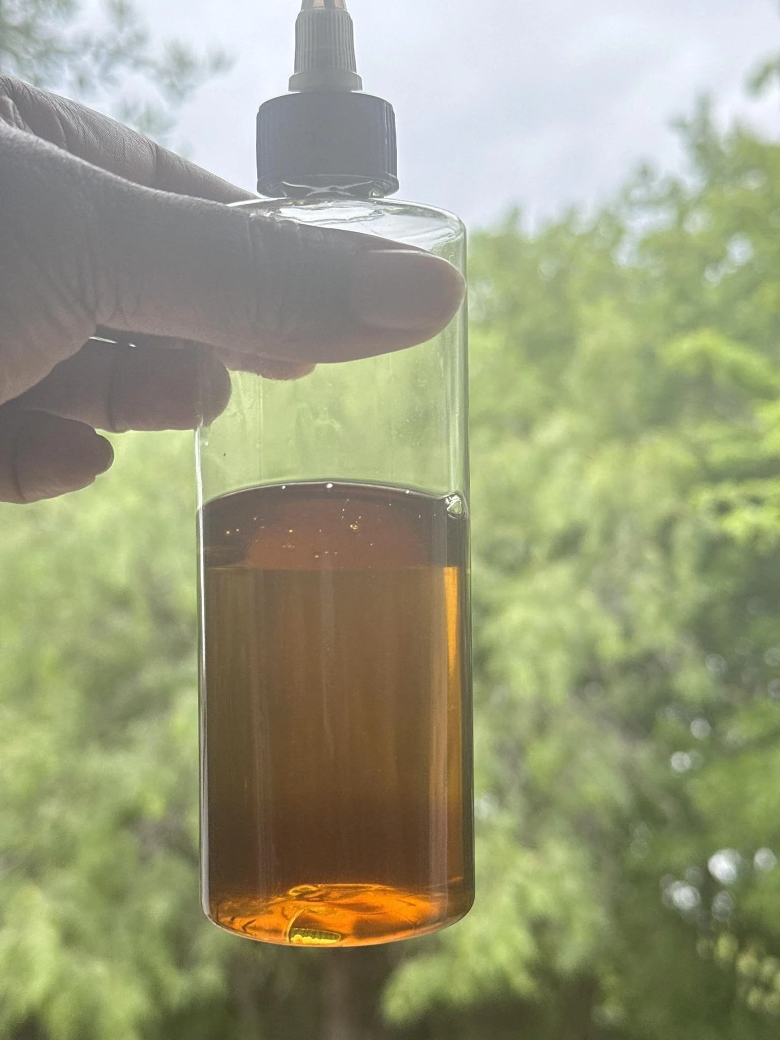oil.jpg