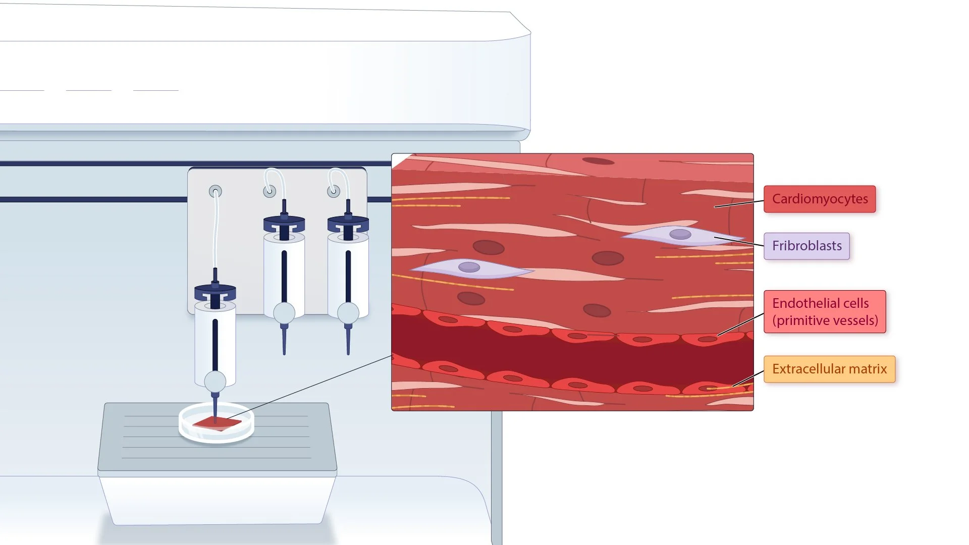 15_16_BioPrinting-01.jpg