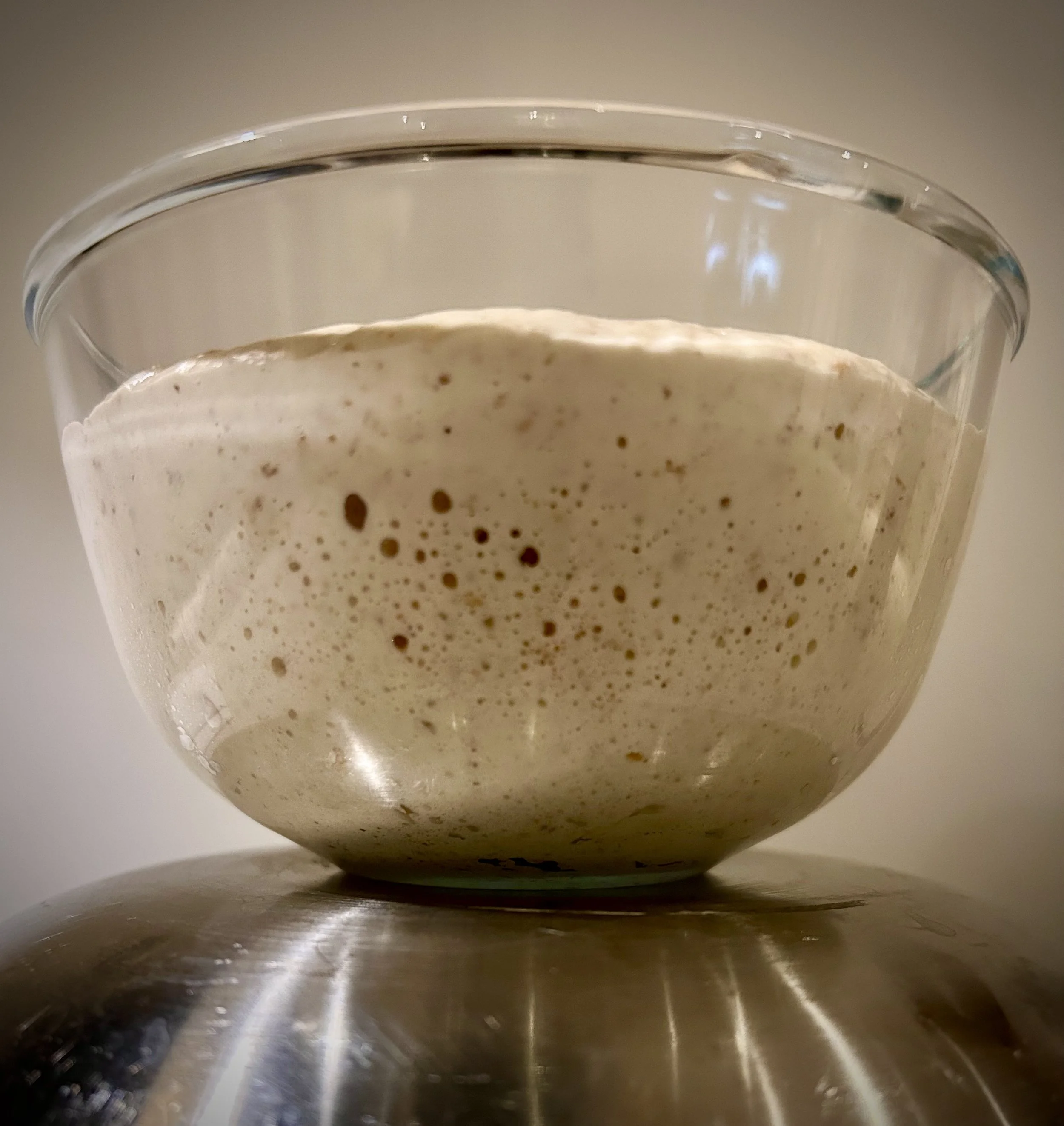 A glass bowl containing sourdough starter, aka levain