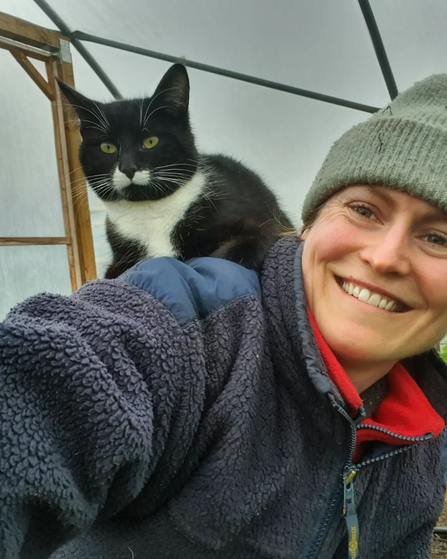 Considering whether the reduced speed of work is worth it for added happiness... 

Puffin, we love you but you may need renaming to Parrot.

And yes it has been two fleece weather here - even in the polytunnels! 

#farmcat #puffin #marketgarden #spri
