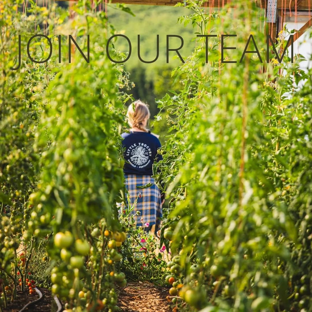 Join our little team this growing season! 

We have decided to make the jump and get more hands in the market garden this season, or more importantly in the soil! 

We are looking for a part time season grower (2 days a week) who is keen to get invol