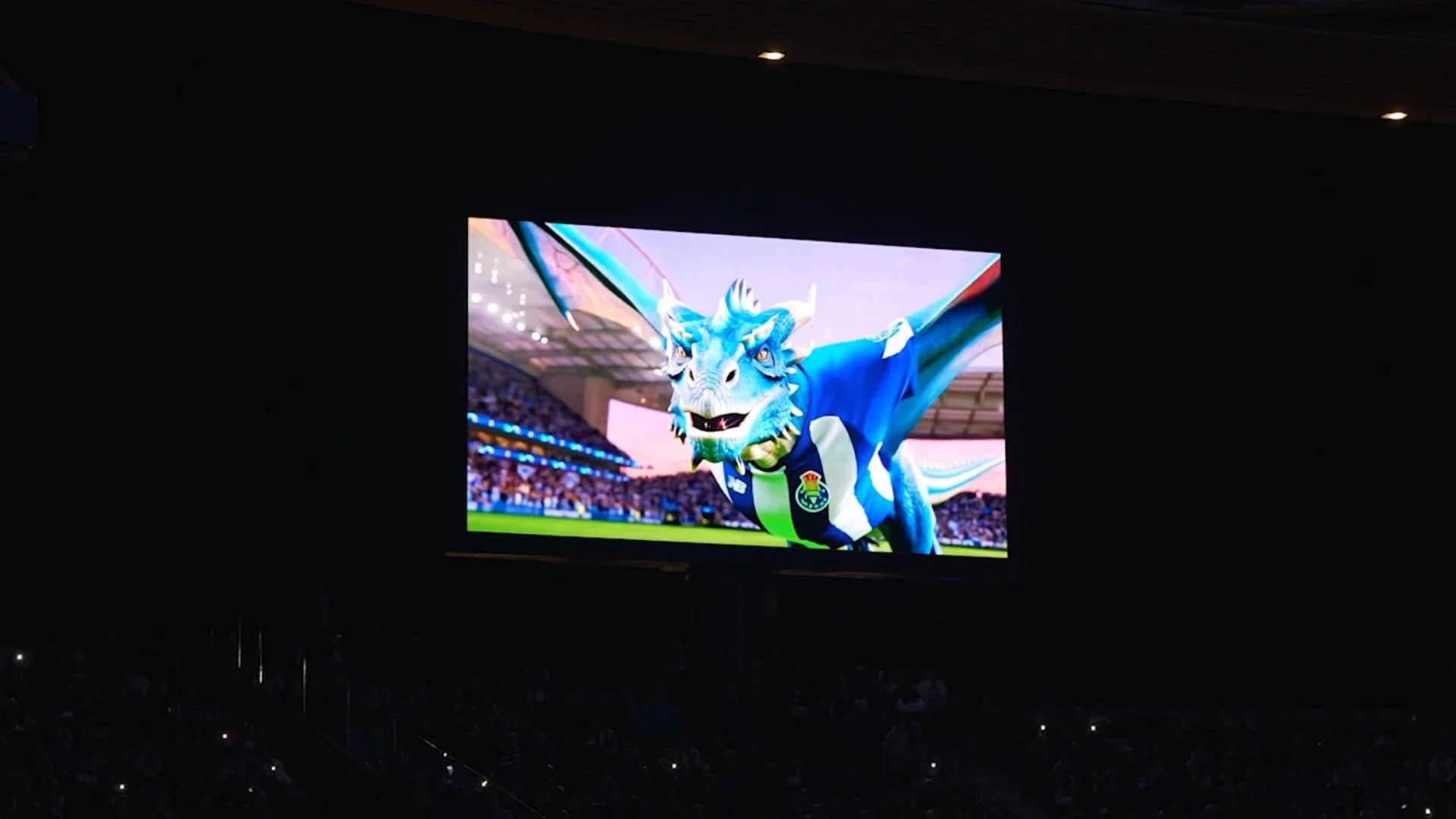 PortoDragão-3.jpg