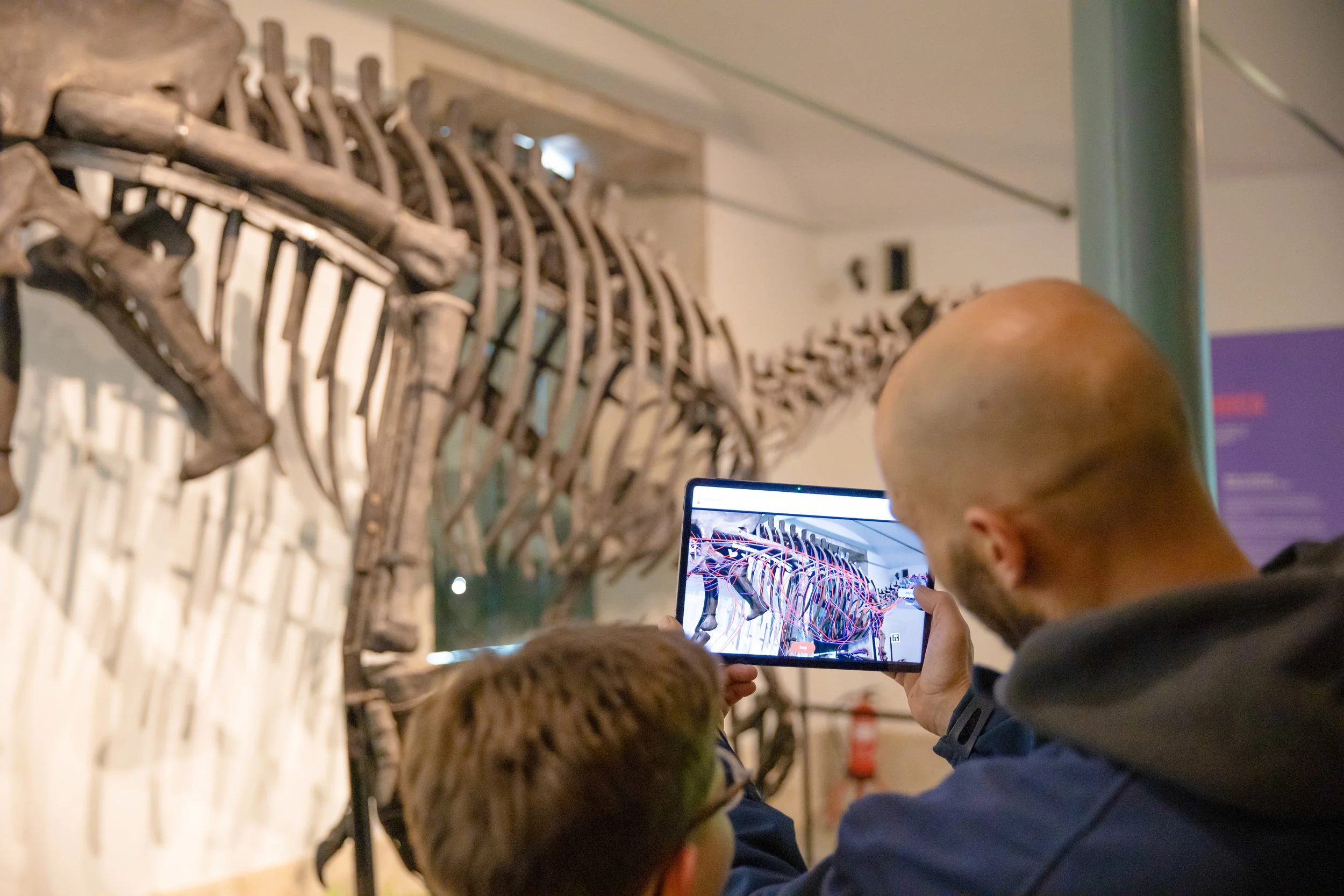 Dino Experience © OCUBO_13.jpg