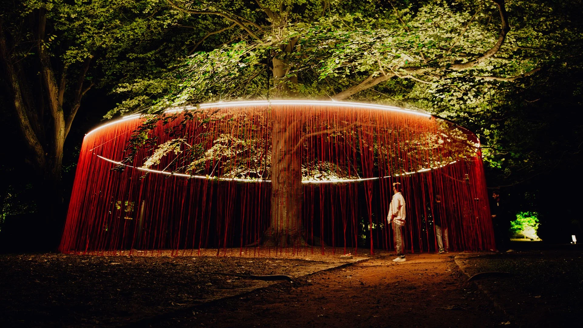 Serralves em Luz 2026