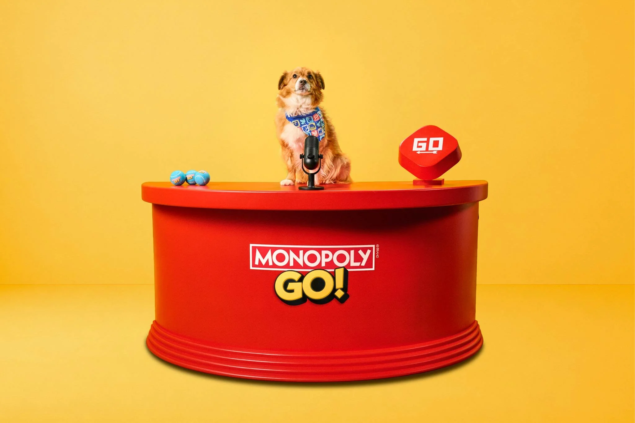 A dog sitting behind a red Monopoly GO! game show desk, with a microphone in front and Monopoly-themed items on the desk, set against a yellow background. A dog telling the news