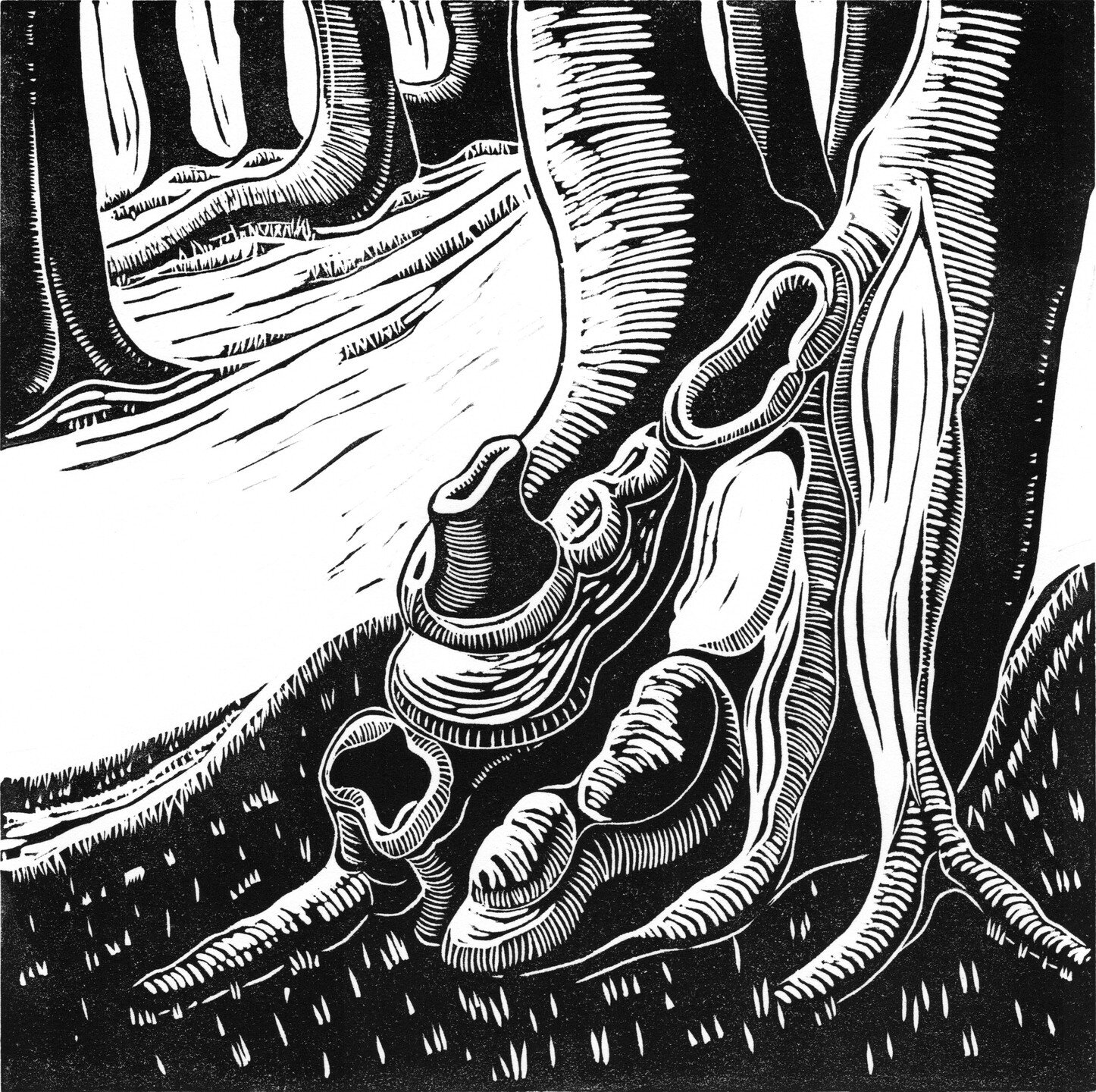 The latest exhibition at @unoseaford is soon to enter its final week (ends 28th Feb.)
I've put together a tree themed display for this show and have included a rare (for me!) black and white linocut called 'The Ash Bole'. It depicts an old, coppiced 