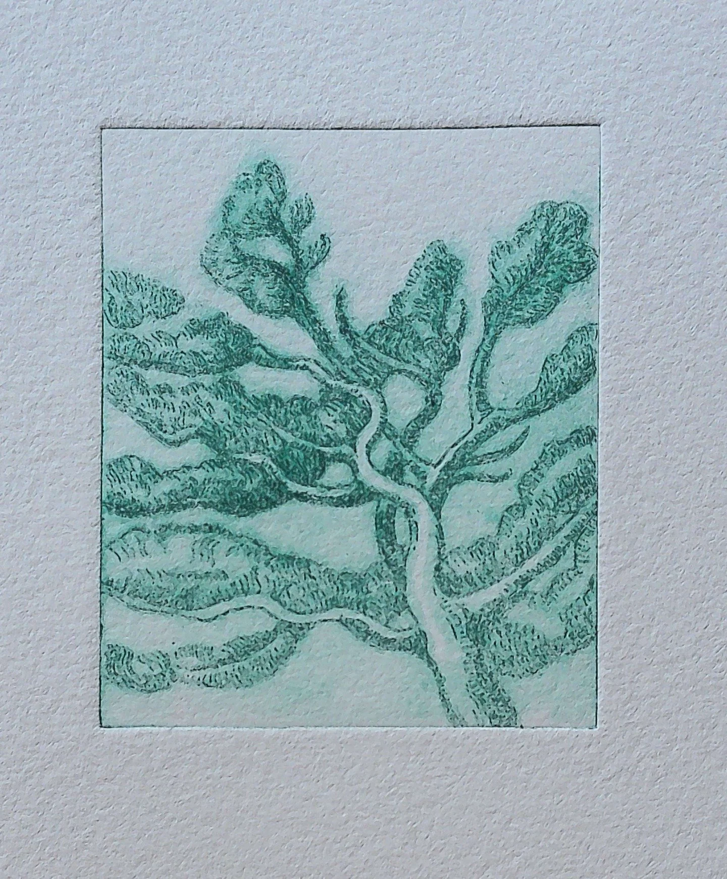 Next Saturday I'm taking part in the Strange Magic Contemporary Print Fair at Lewes Town Hall.
Exhibiting alongside lots of other talented printmakers it promises to be a super show.
I'll be taking along some of my latest mini Drypoint trees. Shown a