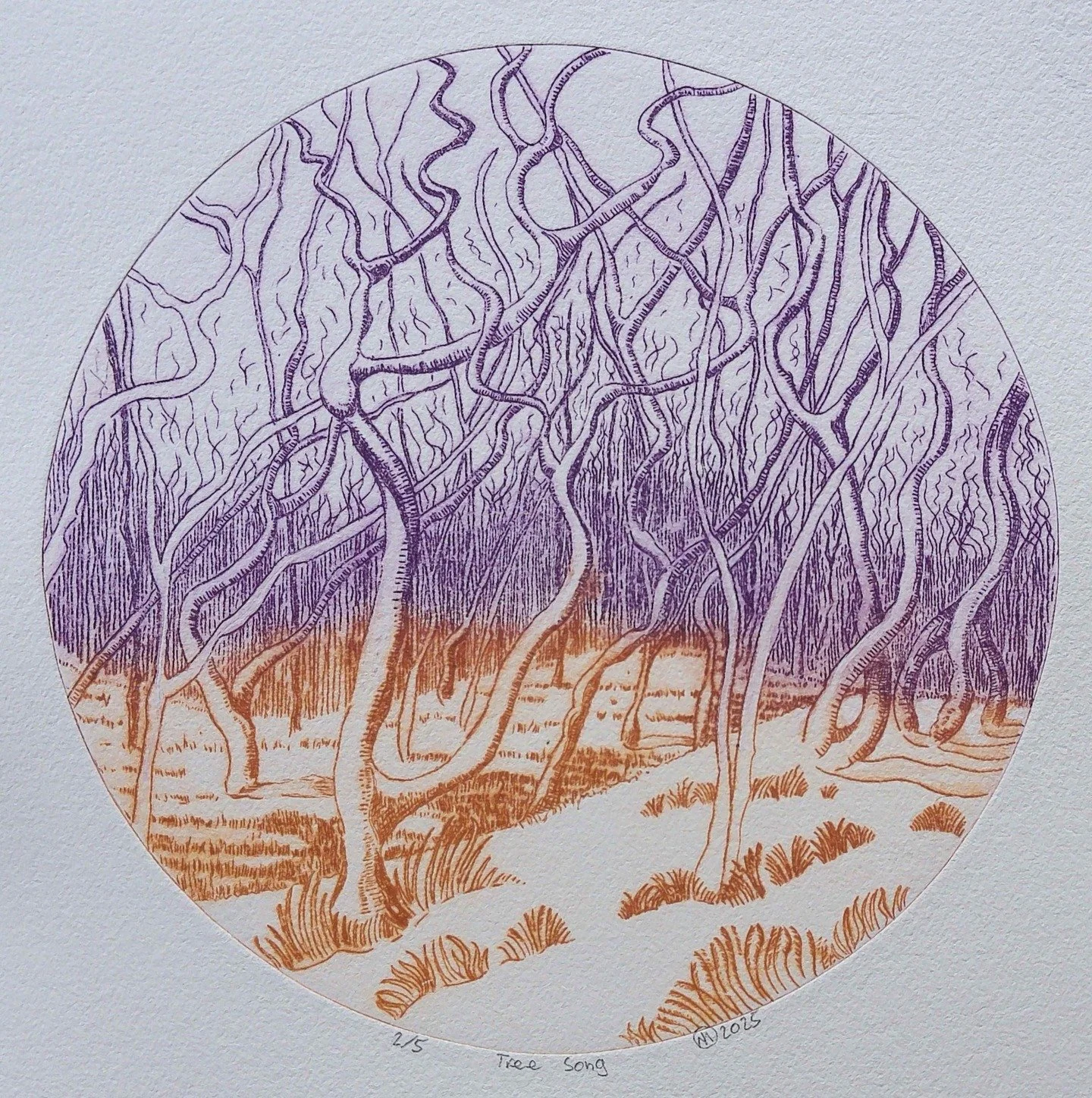 Just set up for the next Exhibition: 'Allegro' at Gallery Uno @unoseaford 
@fatcatdesignsbyliz and I are showing alongside other members of @sussexartscollective and I'm showing my very latest Drypoint 'Tree Song'