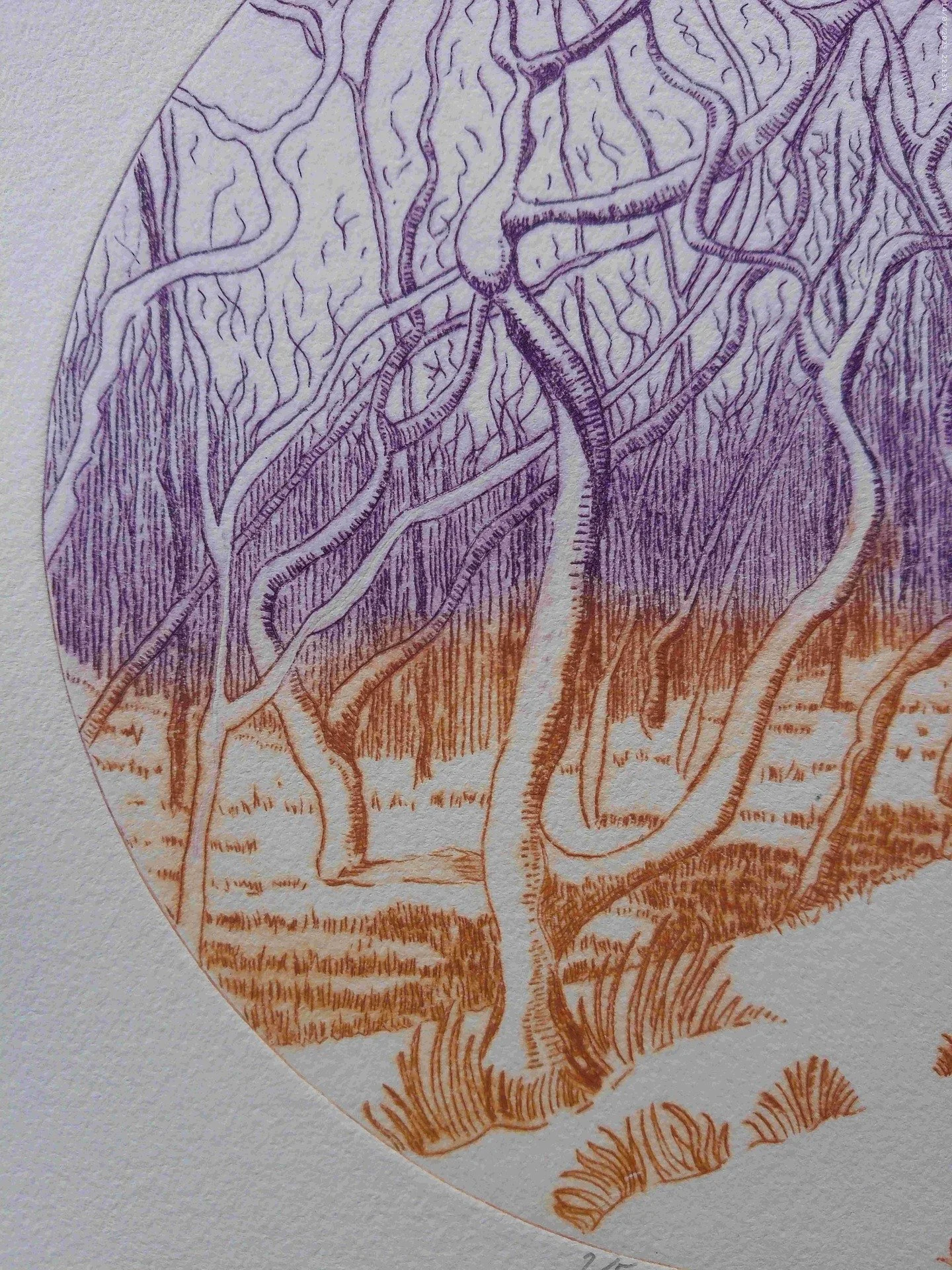 Here's a couple of close - up's of my latest Drypoint 'Tree Song' currently on show at @unoseaford 
20 cm diameter printed with Caligo Safewash Etching inks on Hahnemuhle 300gsm handmade paper (in case you're interested!)