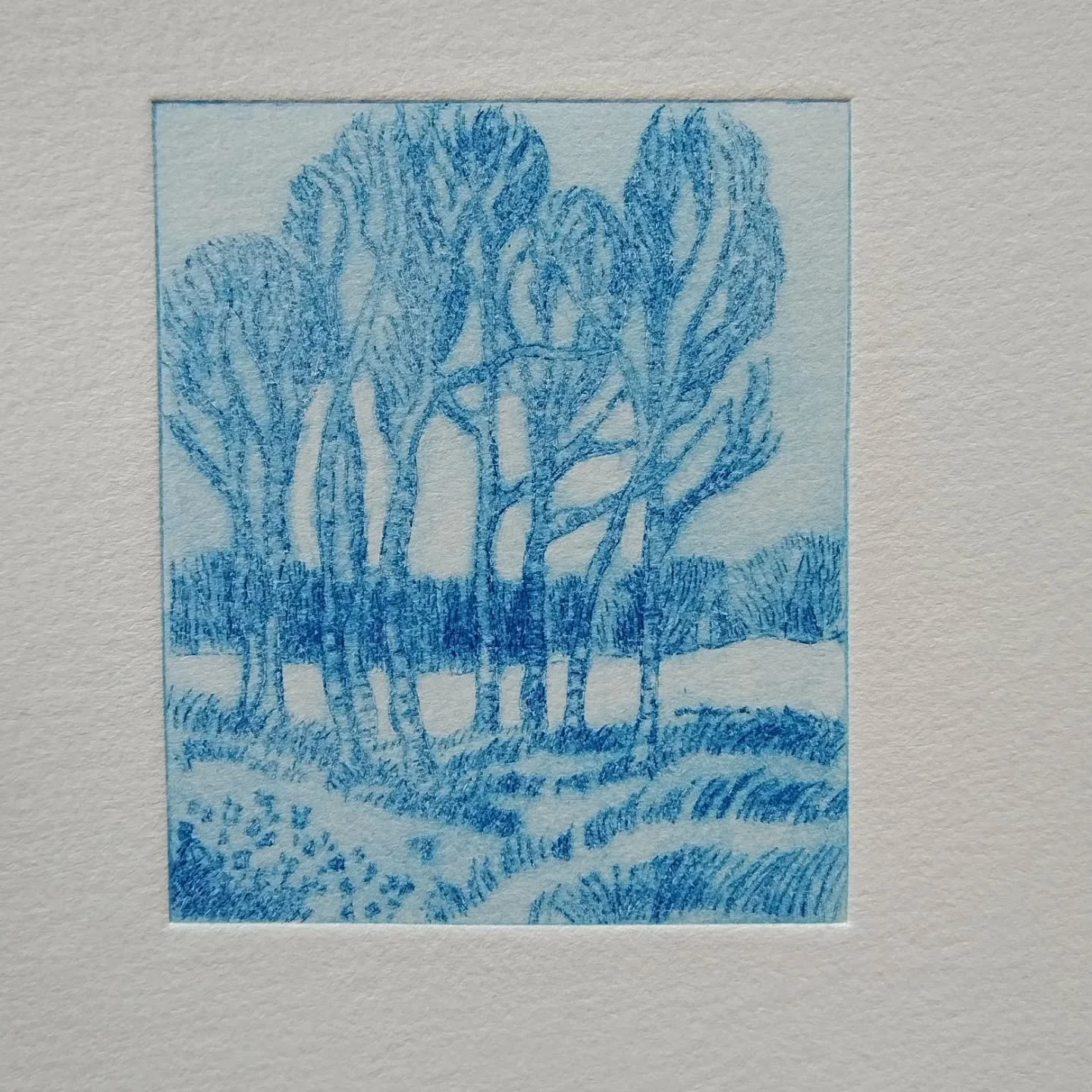 This week I have mostly been printing 'Blue Birches' as part of my ongoing mini drypoint tree series. These prints were made with Ocean Blue @charbonnelparis water washable etching inks,and only measure 6 x 7cm