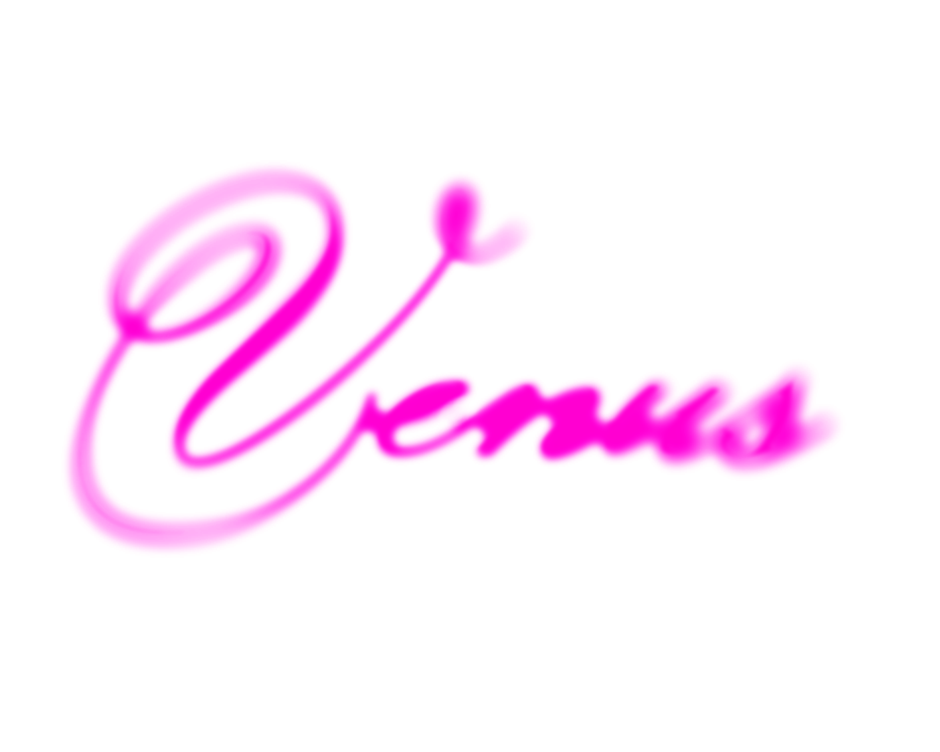 VENUS VENUS VENUS
