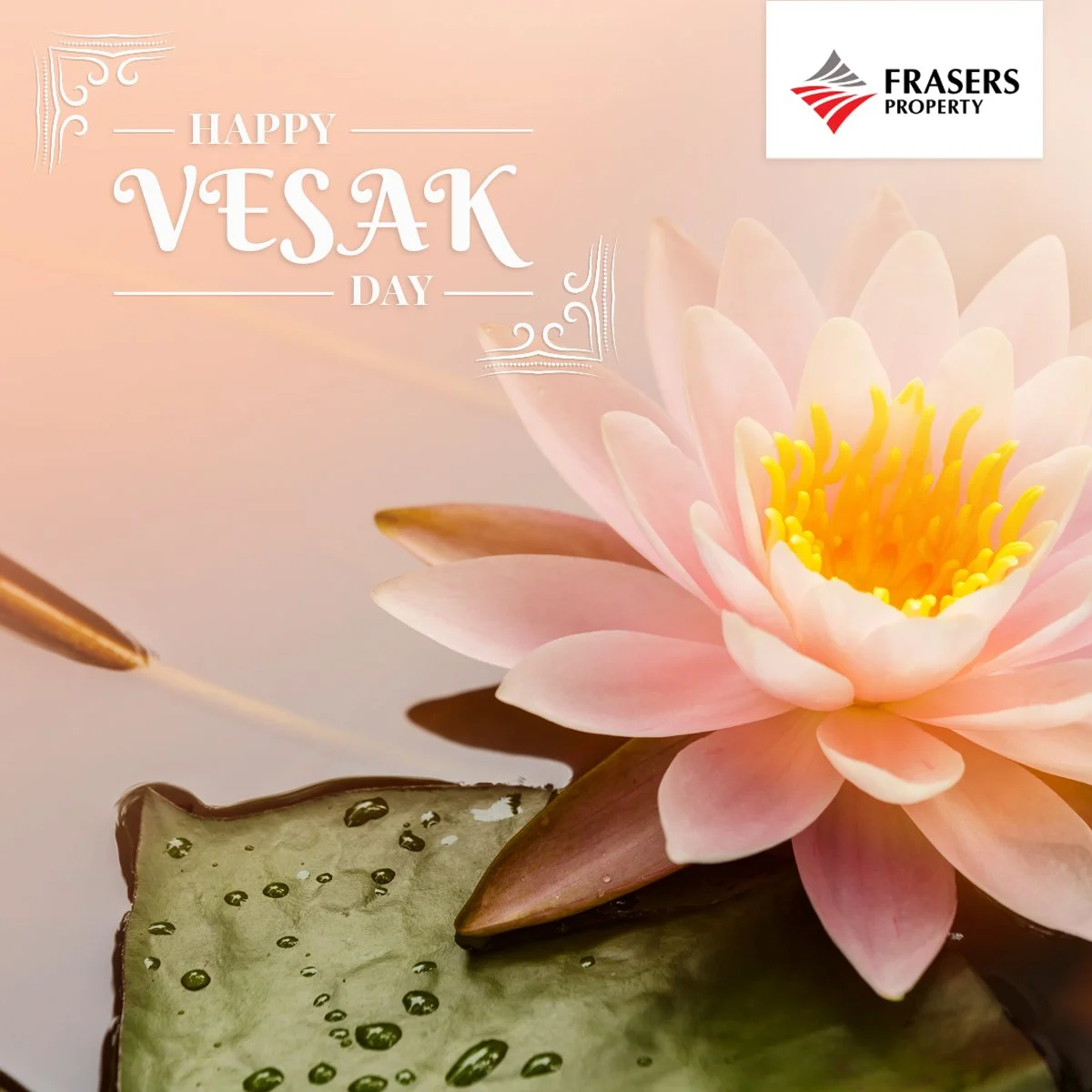 FPR_Vesak Day_v1.jpg