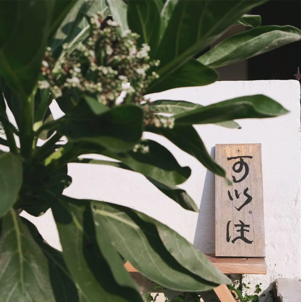 Close-up of green leaves and small white flowers on a plant, with a wooden sign with Asian characters in the background.