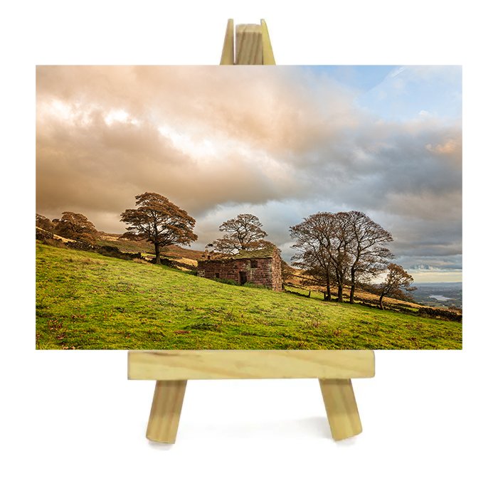 Easel with canvas print.jpg