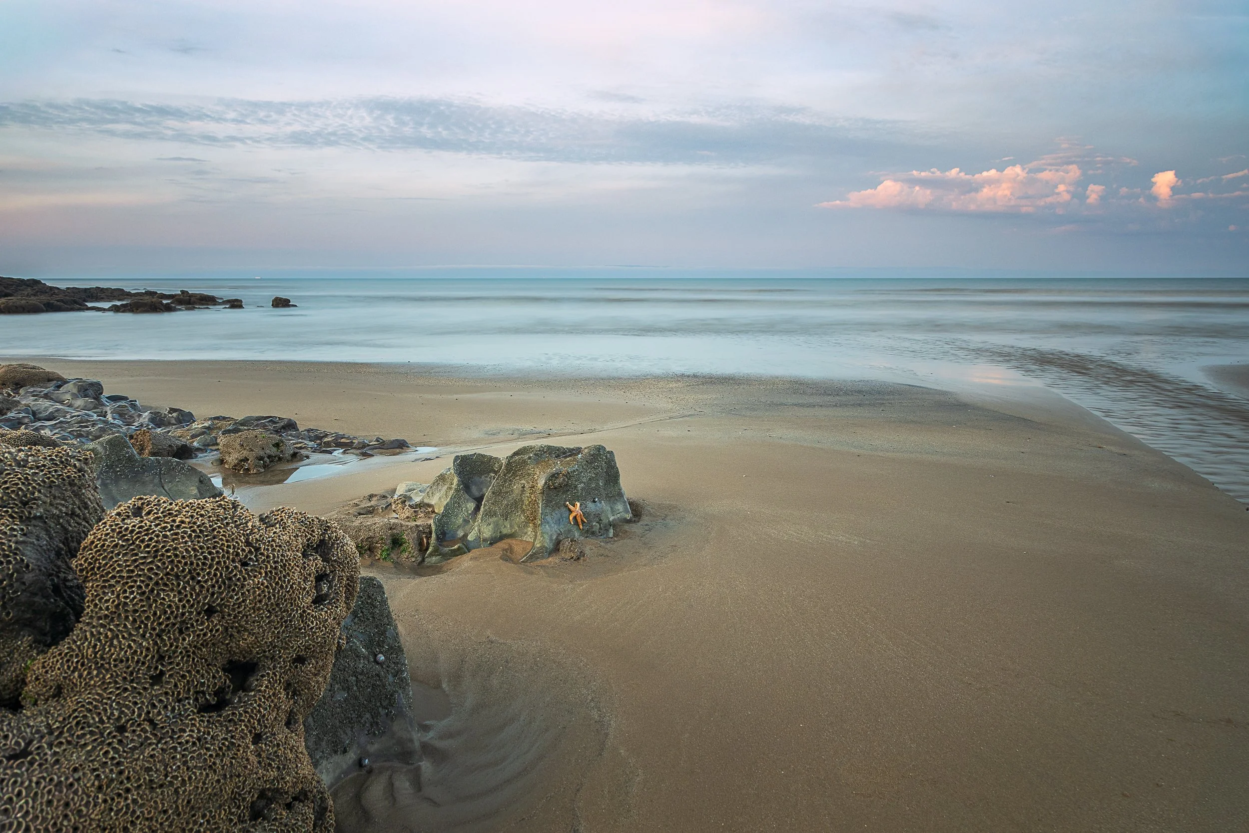 Before the Footprints Arrive