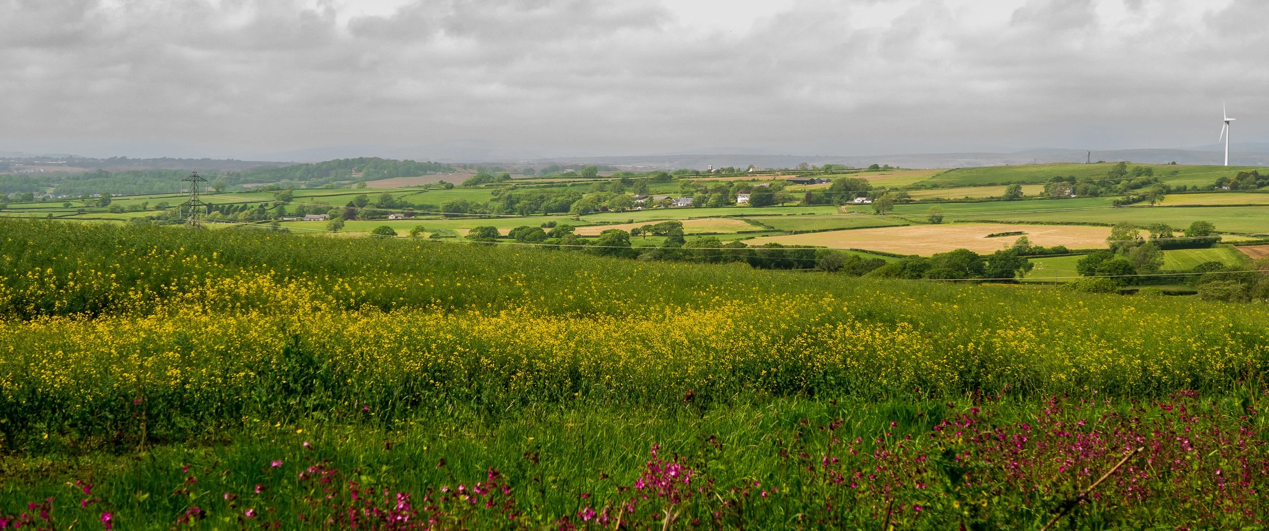 A Walk in the Vale: Five Miles of Light walk, and Minor Domestics