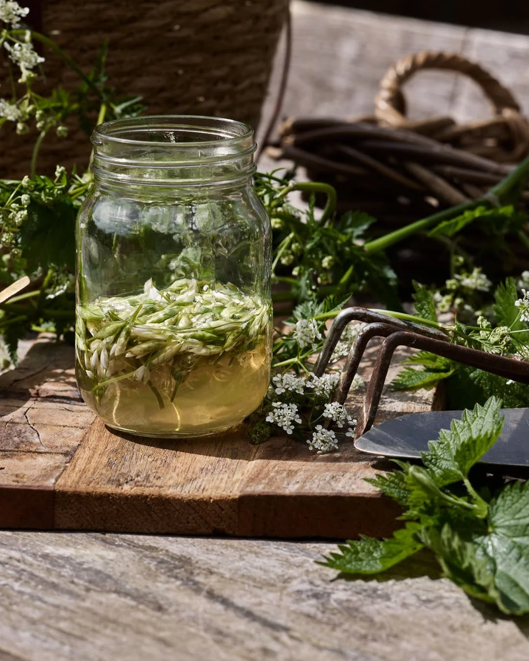 wild garlic buds in jar with garden tools on outdoor table in sunshine