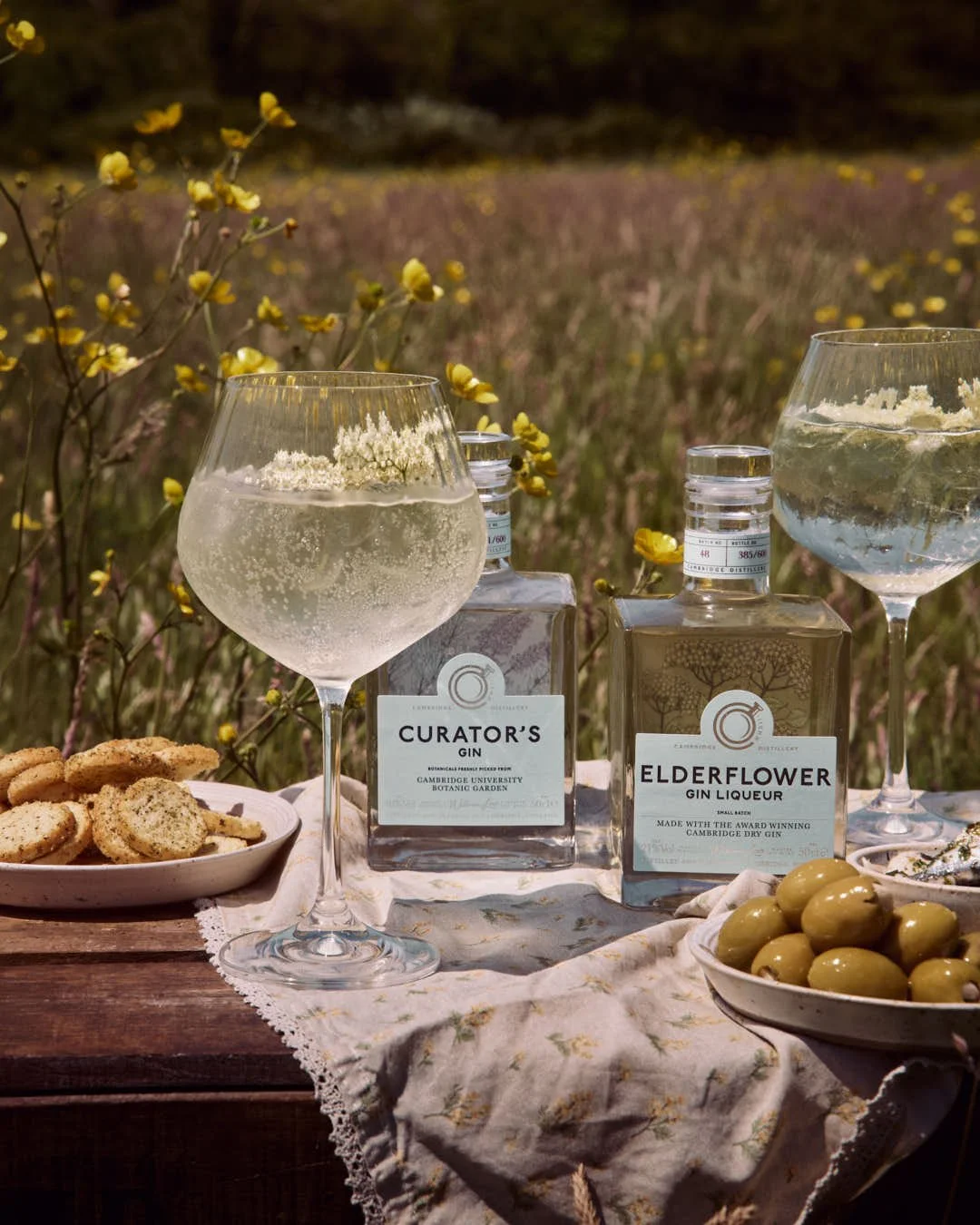 macro image of two spritz glasses in summer sun in meadow with elderflower garnish