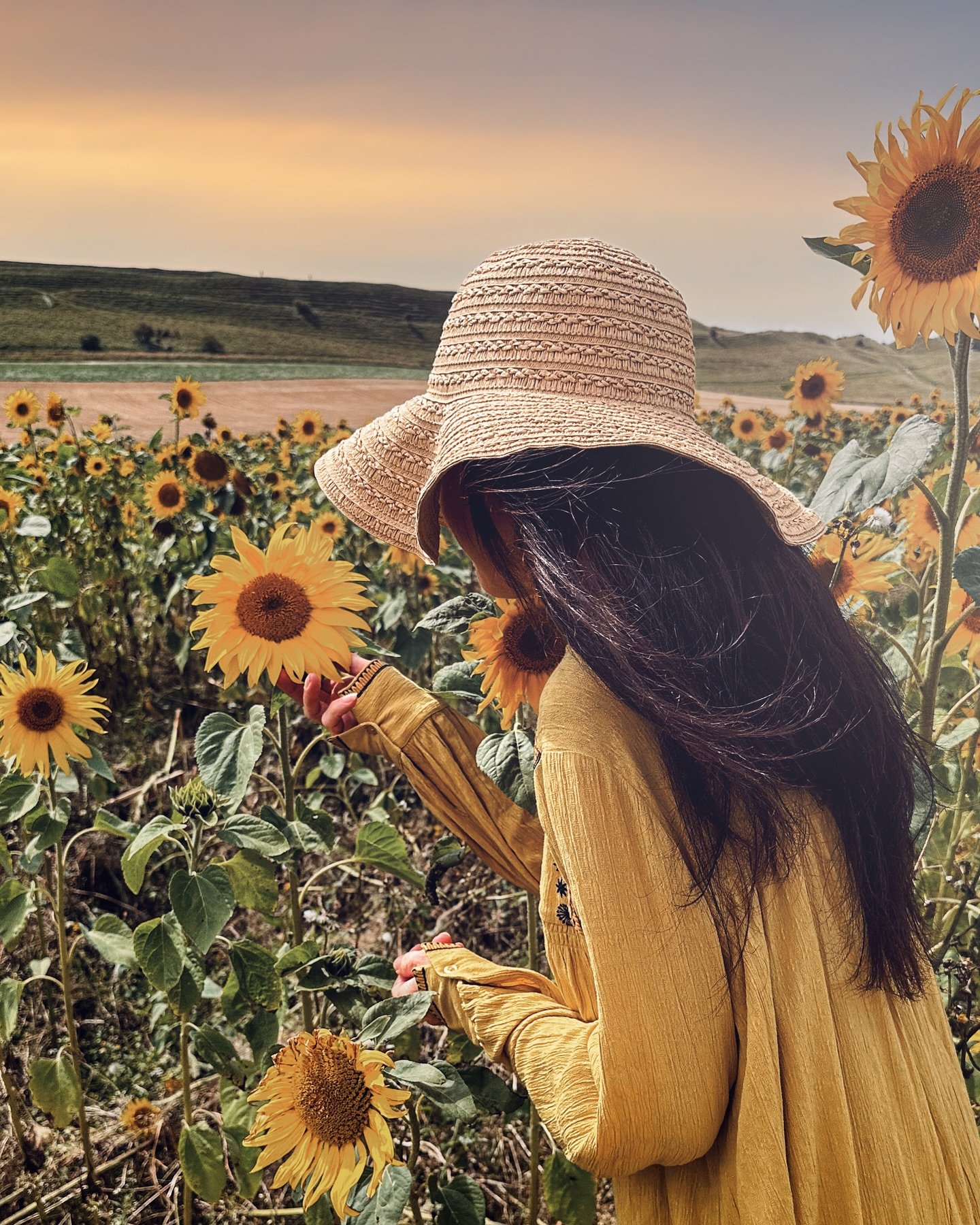 Beneath the soft hush of a golden sky, she wandered through a sea of sunflowers &mdash; each bloom bending as if to whisper secrets to her heart. In her gentle stillness, summer lingered a little longer, and time forgot to move.

#sunflowers #sunflow
