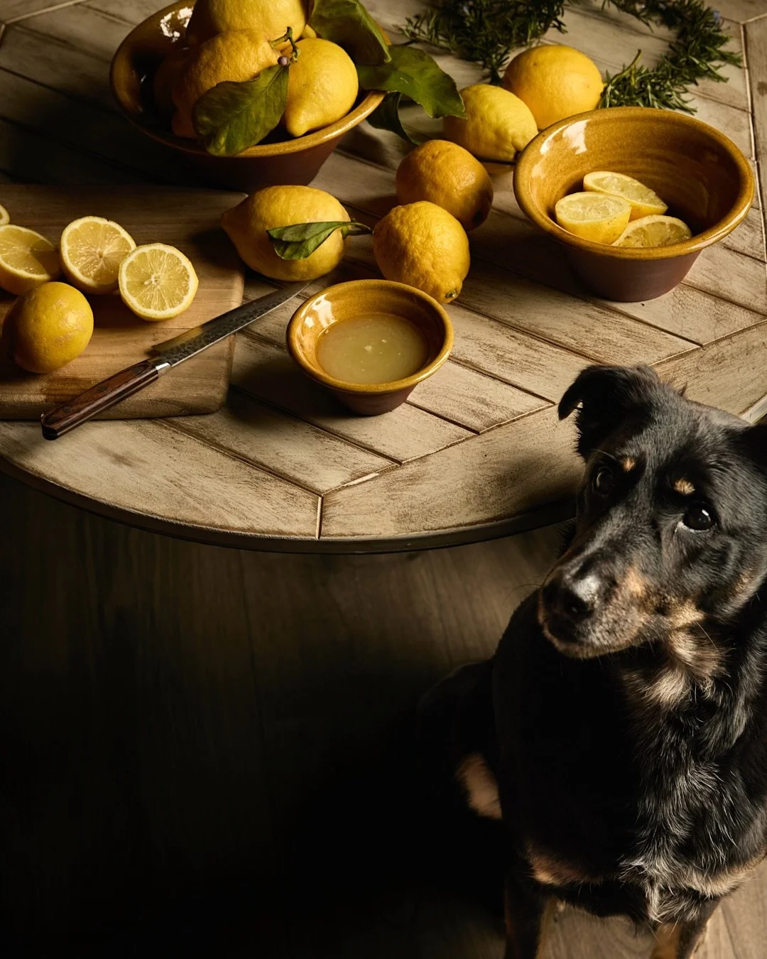 What do I do when life gives me lemons?

When times feel heavy, I don&rsquo;t look for noise or distraction.
I look for comfort.

I curl up with Peanut first &mdash; his warm little body tucked against mine, his quiet presence somehow steadying every