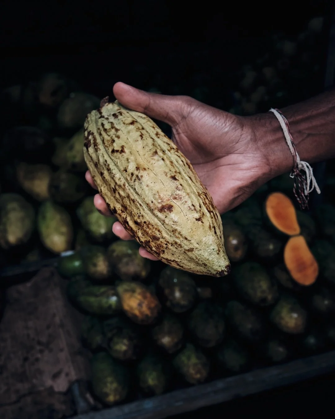 From soil to soul: Sri Lankan food tells a story long before it reaches the plate.

Walking through lush cacao groves, watching spices dry beneath golden sun, and witnessing the quiet rhythm of native farming awakened something deeply rooted within m